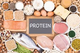 Protein for Endurance athletes